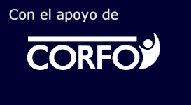 Corfo cobranzaonline1 new